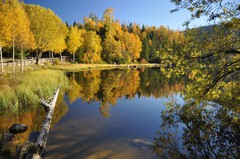 Plešné jezero